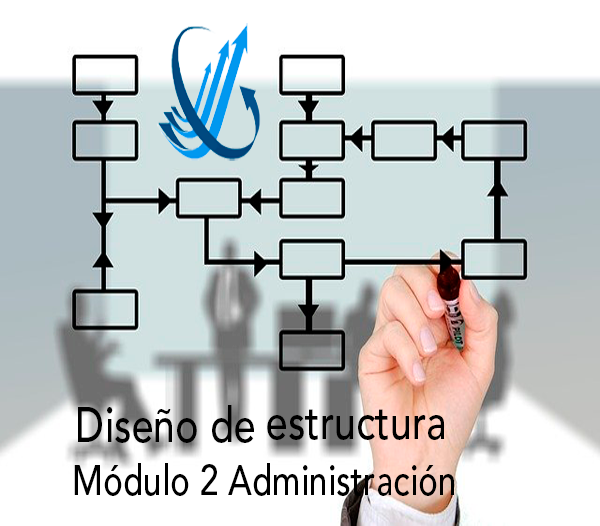 Diseño de estructura organizacional