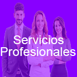 Servicios profesionales 1